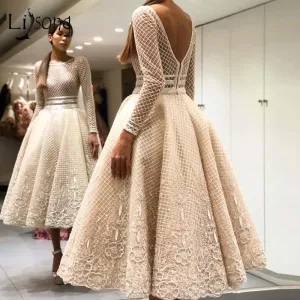 Robe De Soiree Party Dress